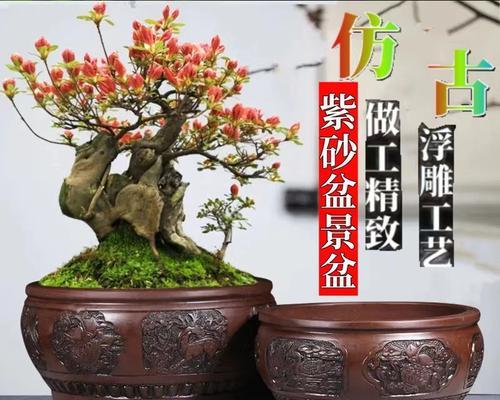 盆景用盆选择和使用方法是什么？