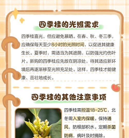 桂花树的养殖方法是什么？如何处理病虫害问题？