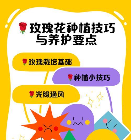 玫瑰花籽种植有哪些方法？