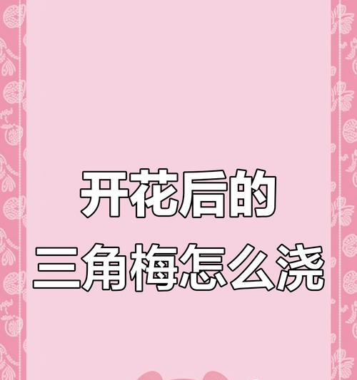 三角梅控水应该在什么时间进行？