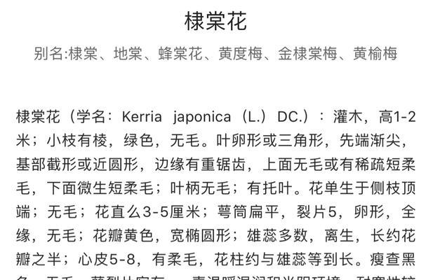 花卉识别的技巧有哪些？