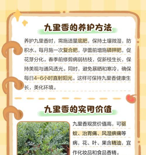 九里香种植的步骤和技巧有哪些？