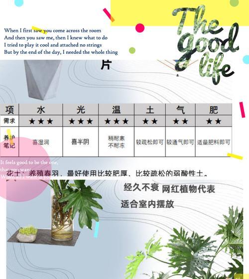 腐土的制作过程及其对植物的好处是什么？