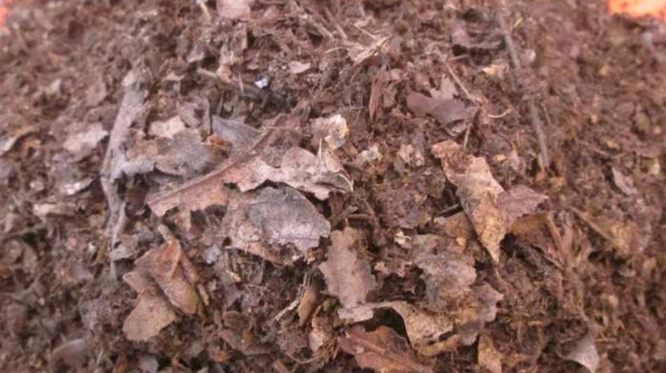 腐土的制作过程及其对植物的好处是什么？