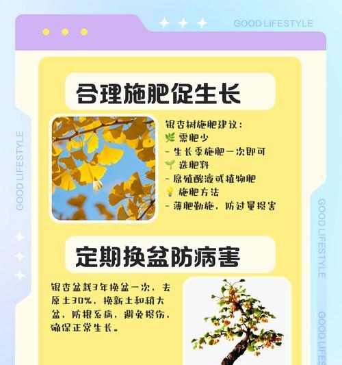 银杏树盆景种植方法和注意事项？