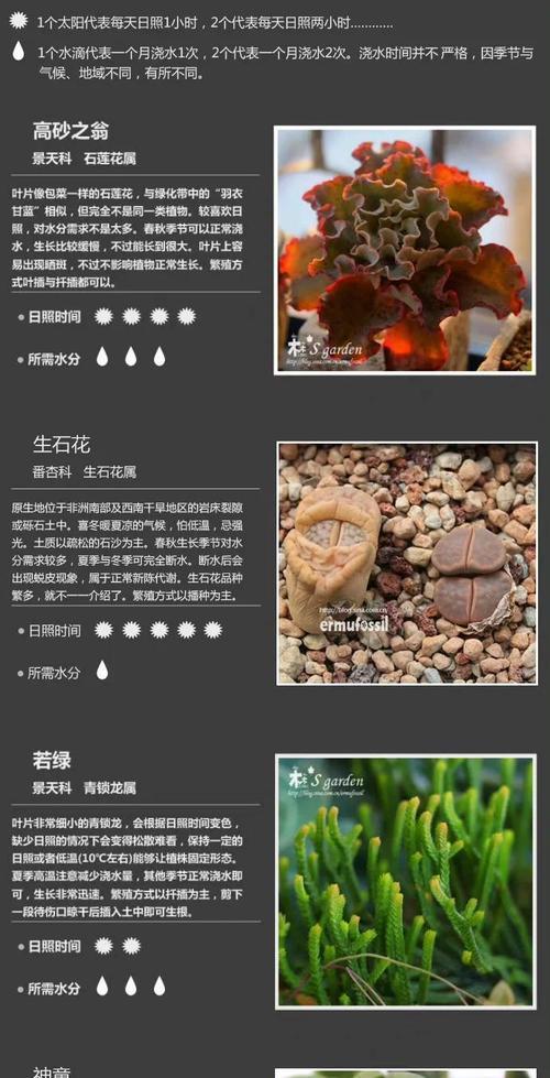 室内植物种植的常见问题解答？