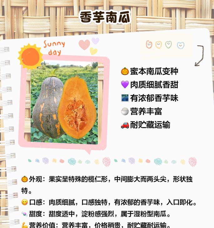 如何挑选优质长南瓜？挑选技巧是什么？