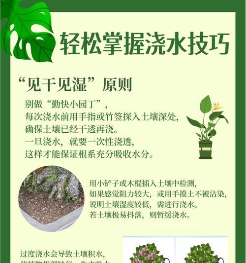 盆景浇水的正确方法和注意事项有哪些？