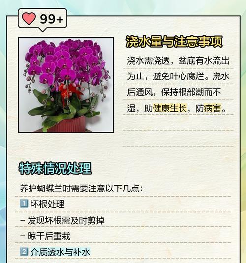 盆景浇水的正确方法和注意事项有哪些？