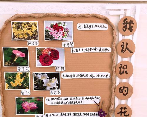 花的用途有哪些？不同种类的花有哪些不同的用途？