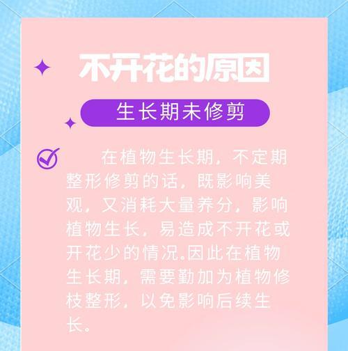山地玫瑰不开花的原因及解决方法？