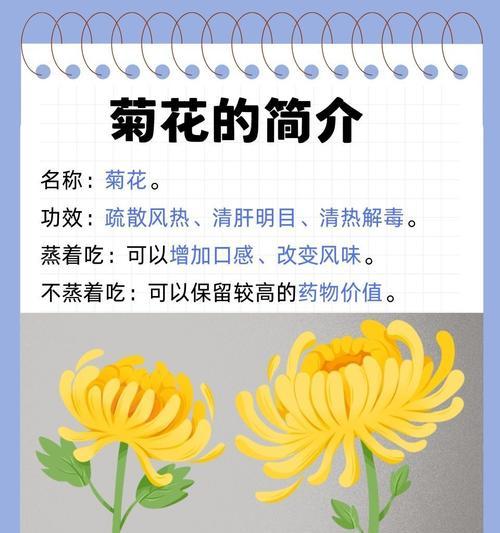 菊花分株的最佳时间和方法是什么？