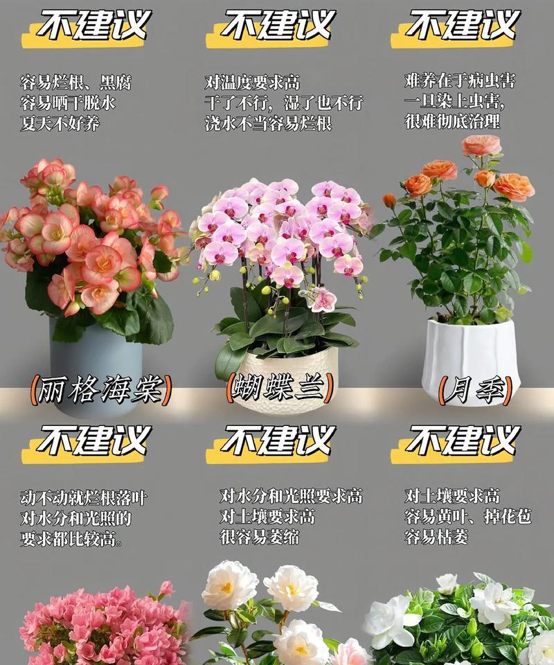 网什么花？如何识别不同种类的花卉？