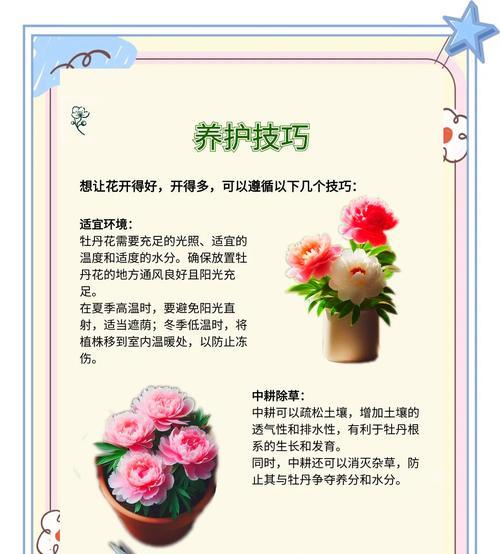 牡丹花在冬天的养护方法有哪些？