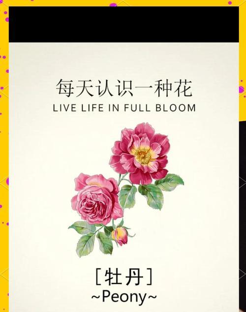 牡丹花在冬天的养护方法有哪些？