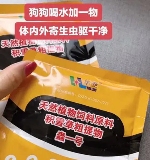 植物驱虫的有效方法和注意事项？