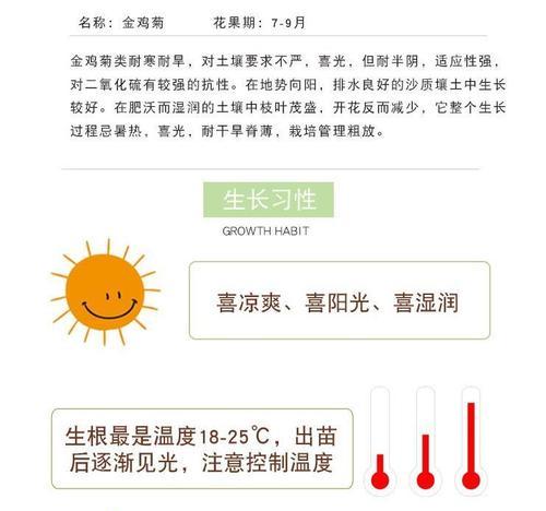 金鸡菊种子的种植方法是什么？