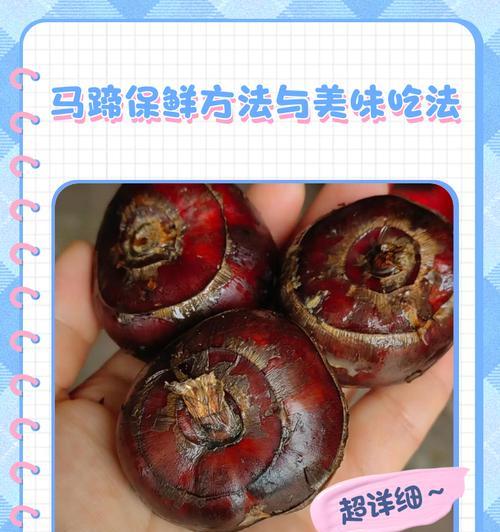 马蹄的正确保存方法是什么？