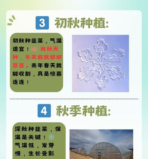 韭菜种怎么种？新手入门指南是什么？