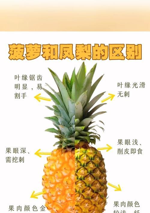 凤梨的品种有哪些？凤梨的种类和特点是什么？