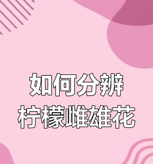花怎么授粉？如何正确给花授粉？