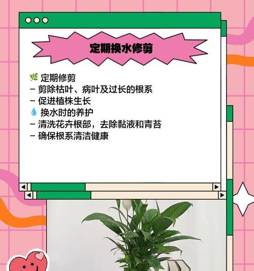 白掌修剪的正确方法是什么？