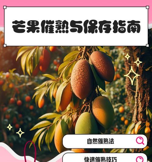 芒果催芽出花不正常？如何正确处理芒果催芽问题？