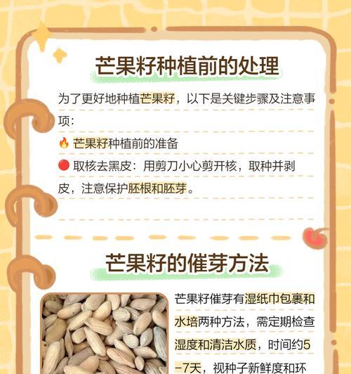 芒果催芽出花不正常？如何正确处理芒果催芽问题？