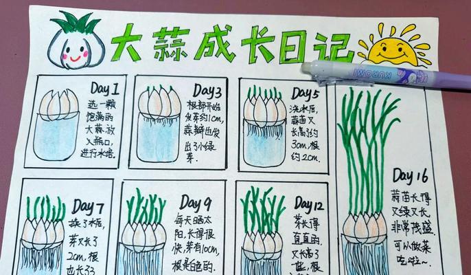 圆蒜独头蒜催芽方法是什么？需要多长时间？