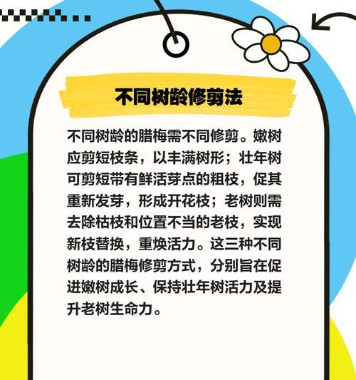棒棒腊梅修剪枝条的最佳时机是什么时候？如何正确修剪？