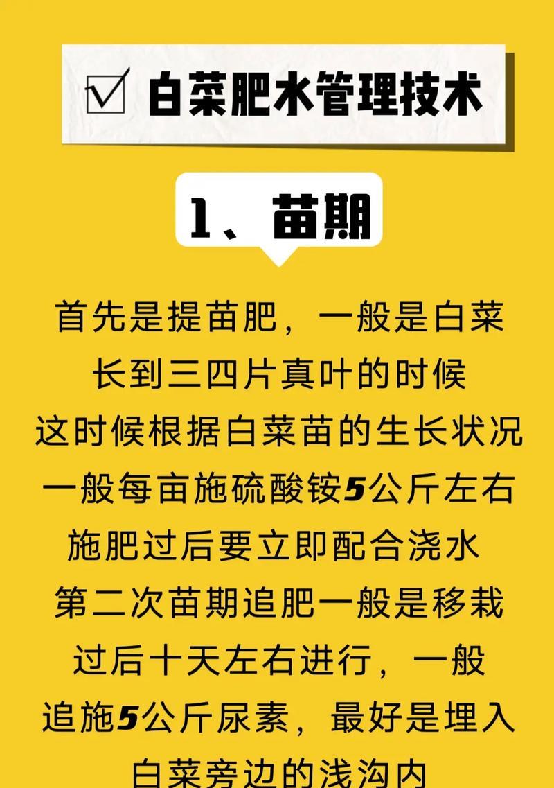 白菜苗怎么种植的方法？有哪些步骤和注意事项？