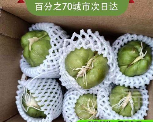 佛手瓜催芽方法是什么？需要多长时间才能发芽？