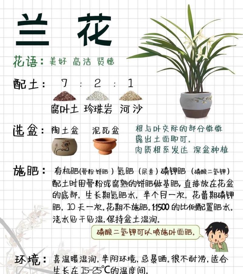 兰草老草种植方法是什么？如何正确进行养护管理？