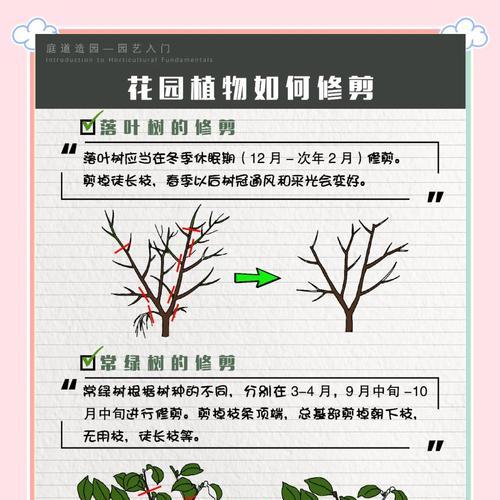 乔木修剪枝顶的正确方法是什么？修剪后需要注意哪些问题？