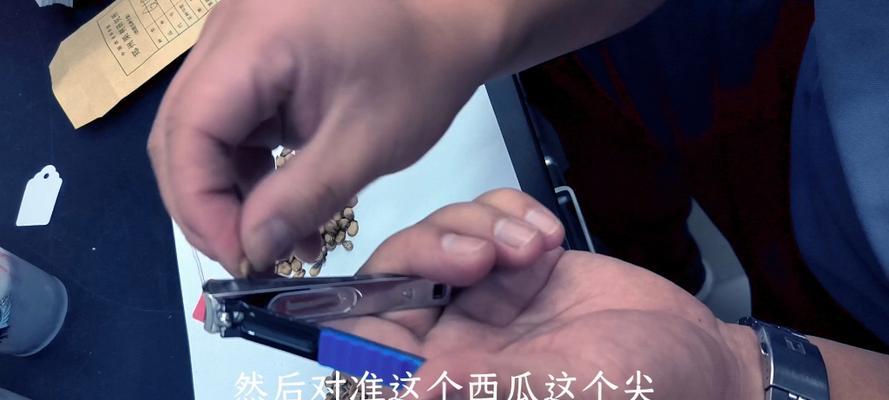 辣椒种子破壳催芽方法是什么？需要多长时间？