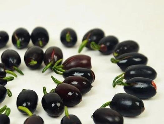 辣椒种子破壳催芽方法是什么？需要多长时间？