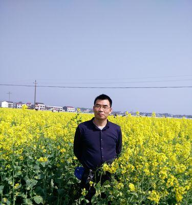 山枣插枝种植方法是什么？如何提高成活率？