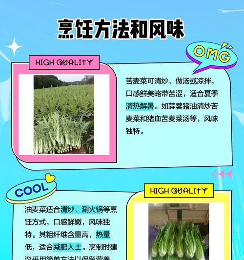 苦麦菜催芽方法是什么？如何正确种植苦麦菜？