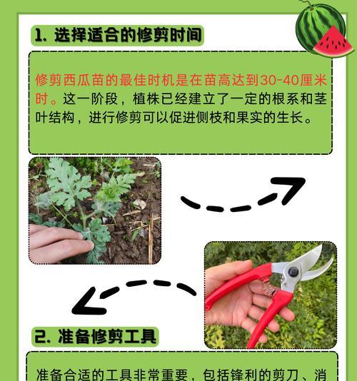 西瓜籽催芽的最佳方法是什么？需要多长时间才能发芽？
