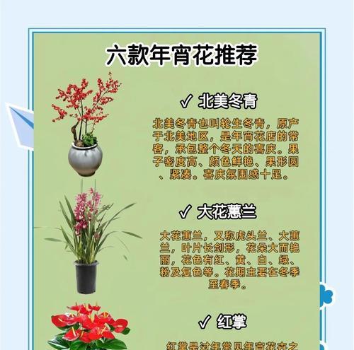 104朵花代表什么？花语含义及常见问题解答？