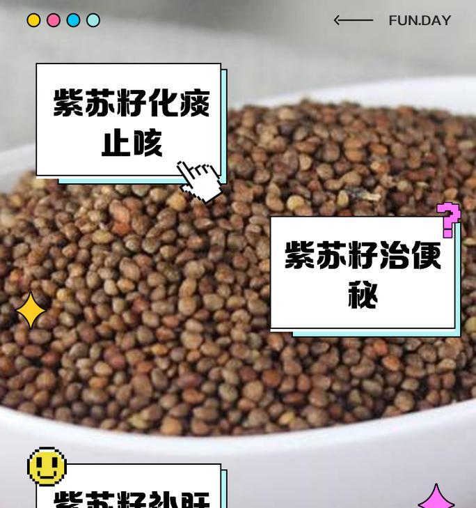 紫苏种子种植方法是什么？如何正确种植紫苏？