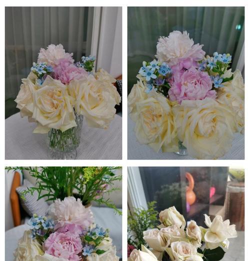 荔枝花水养种植技巧有哪些？如何确保成活率高？