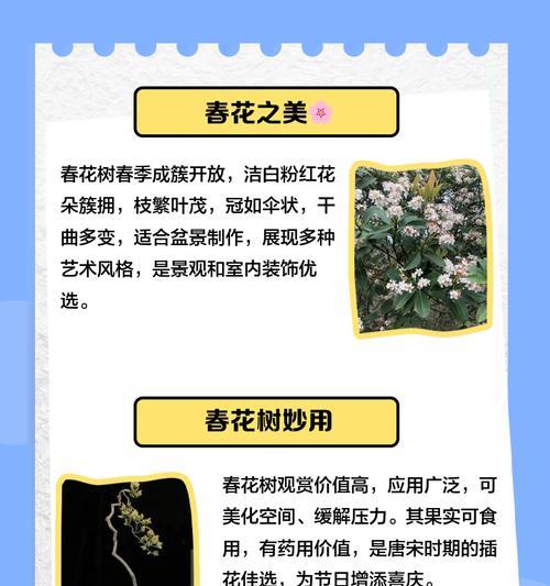 春花果实怎么种植方法？步骤和注意事项是什么？
