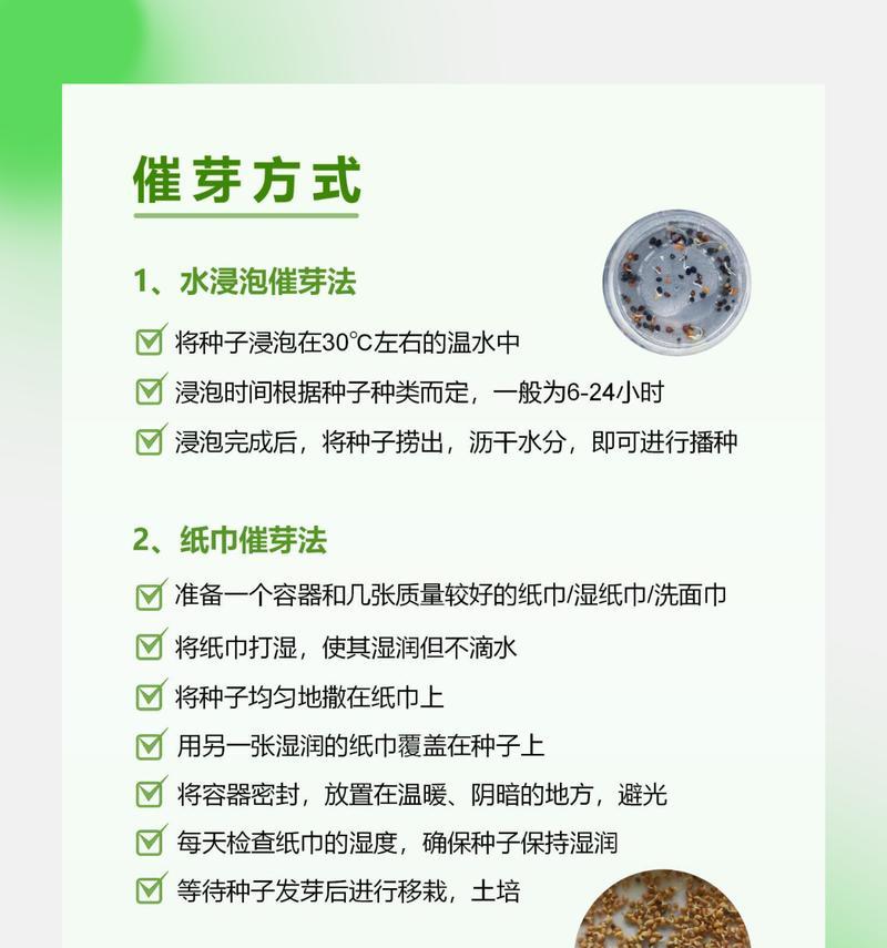 香芹催芽种植方法是什么？如何提高香芹种子发芽率？