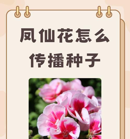 凤仙花催芽方法是什么？如何快速发芽？
