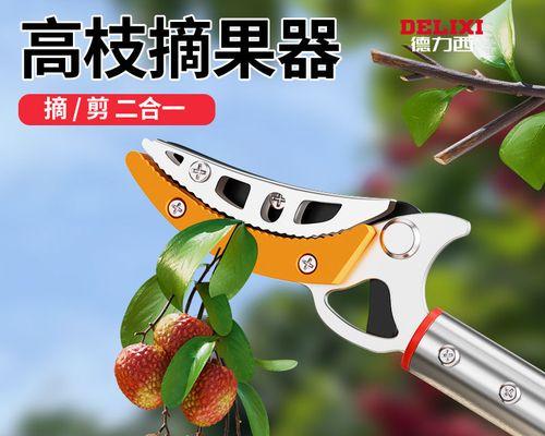 批杷修剪枝的最佳时期是什么时候？修剪后如何护理？