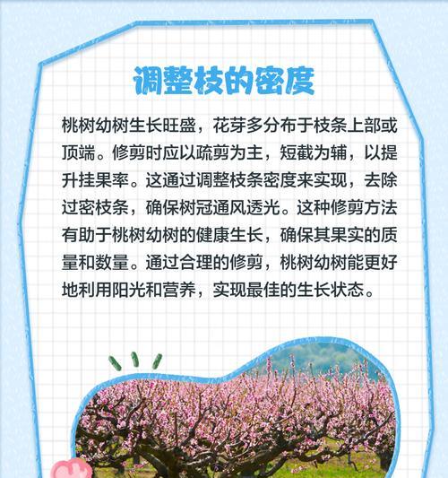 桃树修剪枝条的最佳方法是什么？修剪后如何促进新枝生长？
