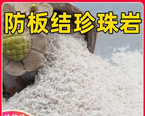 白色红花籽怎么种植方法？步骤和注意事项是什么？