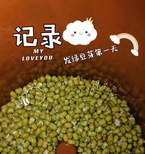 豆芽催芽爆芽剂使用方法是什么？常见问题有哪些？