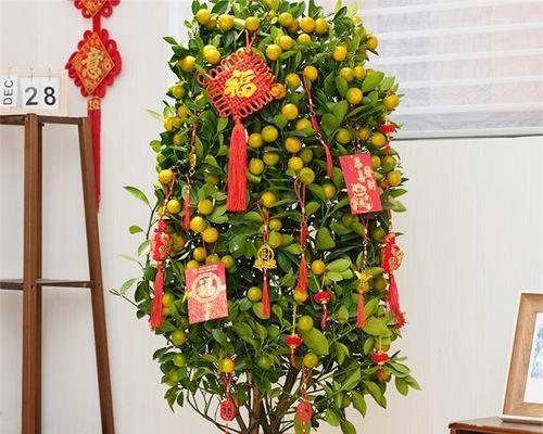年桔修剪枝条的最佳时期是什么时候？修剪后如何护理？